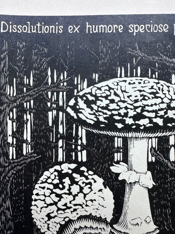 Image 1 of Gravure sur bois de M.C. Escher