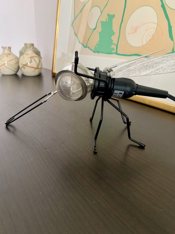 Image 1 of 1x Oligo Mademoiselle Filou