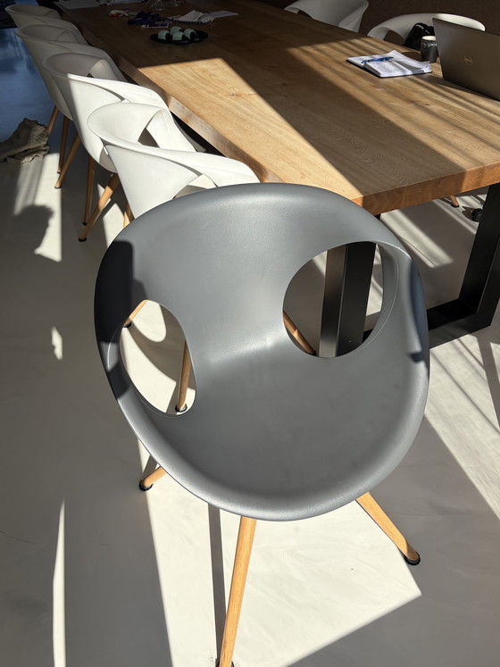 Image 1 of 8 sillas de comedor de diseño Tonon fabricadas en Italia