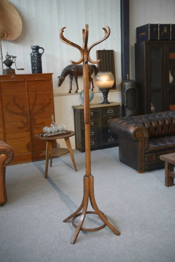 Parrot coat rack published by Baumann 1970 – Wood, Vintage (photo 3 of 8)