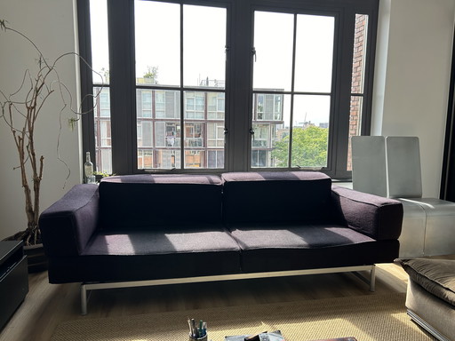 Dark Purple Reef Sofa by Piero Lissoni