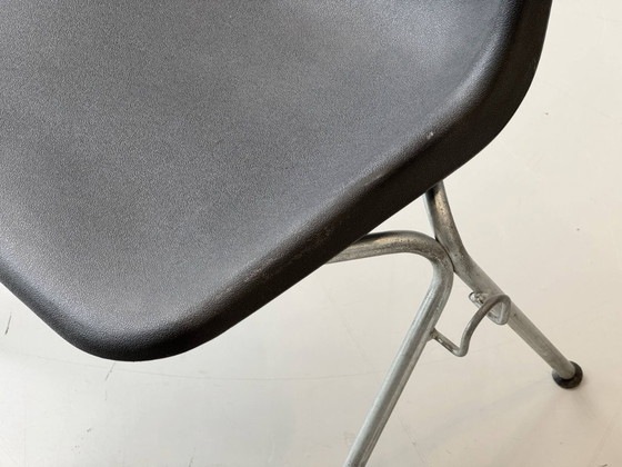 Image 1 of Set di 6 sedie Polyside, classici del design britannico disegnati da Robin Day per Hille, anni '70.