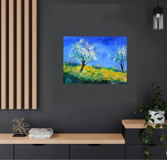 Image 1 of Spring in my countryside