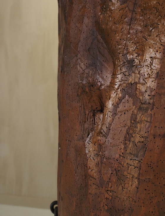 Image 1 of Cabinet d'art populaire primitif fabriqué à partir d'un vieux tronc d'arbre.