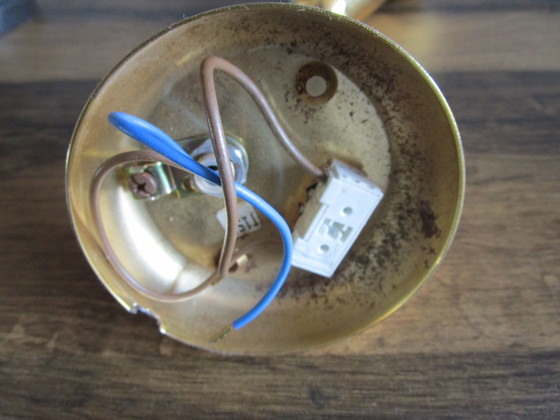 Image 1 of Vrieland Golden Spot