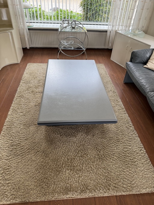 Leolux salontafel