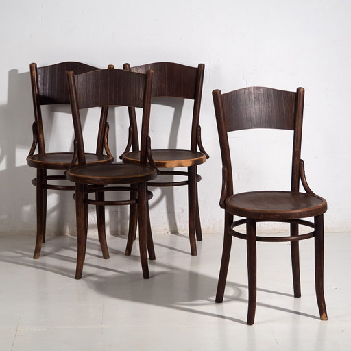 Chaises Thonet-Mundus anciennes en bois courbé (c.1920). Lot de 4 pièces #3