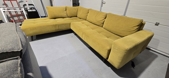 Image 1 of Passe partout bigfood jaune ocre