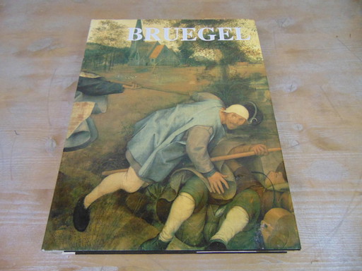 Libro fotografico di Bruegel