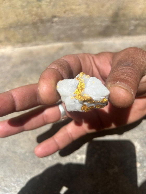 Image 1 of Native Gold on Quartz