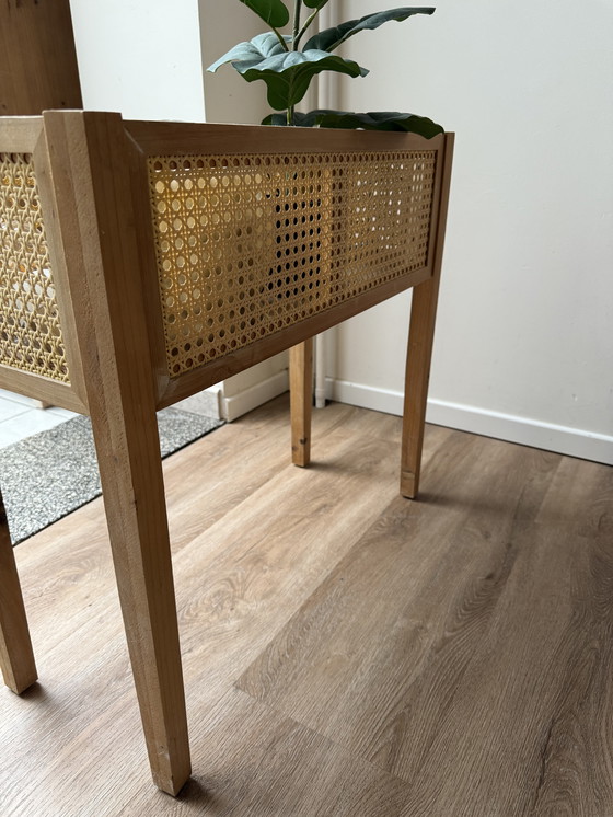 Image 1 of Supporto per piante