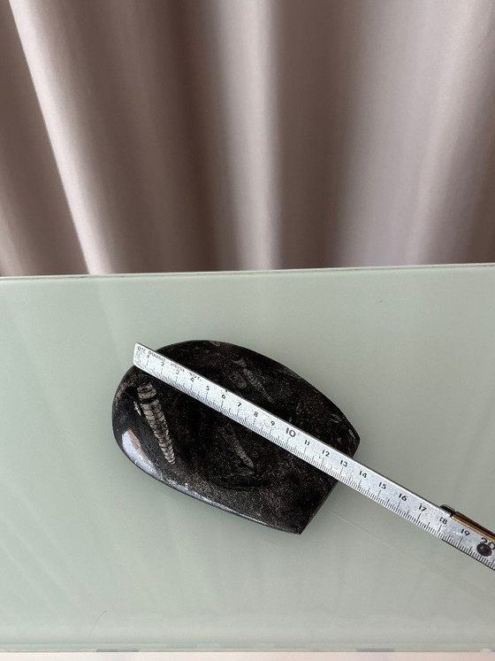 Vintage Black Orthoceras Fossil Stone Dish, Polished Natural Stone, Bowls, Marble (photo 4 of 7)