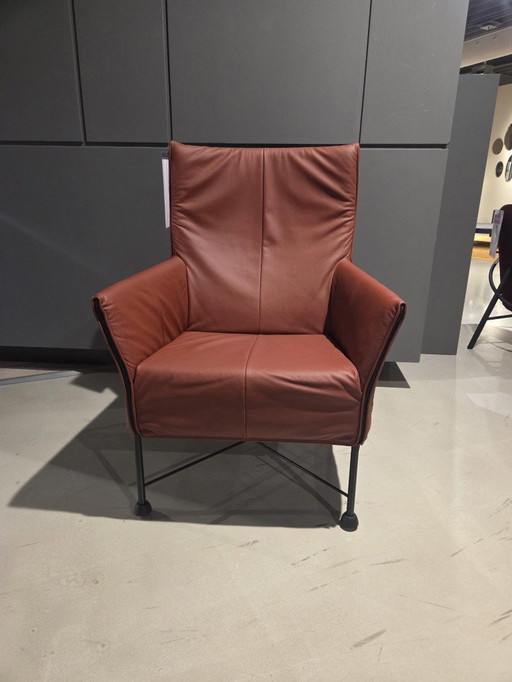 Monits Charly Copper