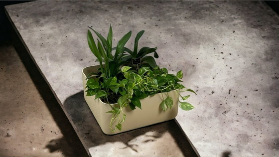 Image 1 of Seltener Pflanzkübel/Behälter im Space-Age-Design, entworfen von Anna Castelli Ferrieri für Kartell, Modell 4682