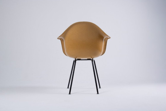 Image 1 of Paire de DAX Eames en fibre de verre – Light Ocre – Herman Miller / Vitra – circa 1965-1975