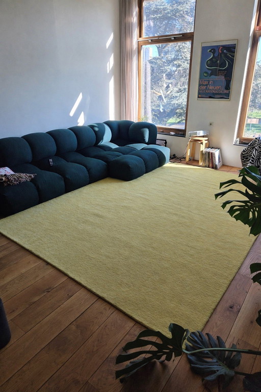 Tapis en laine jaune 250x350, tufté à la main