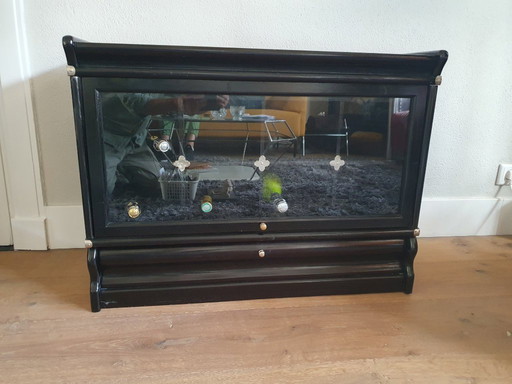 Beautiful TV/wine cabinet by Globe Wernicke