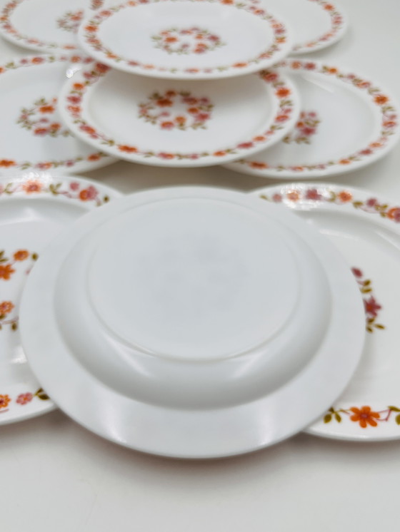 Image 1 of Juego de 10 platos de postre Scania