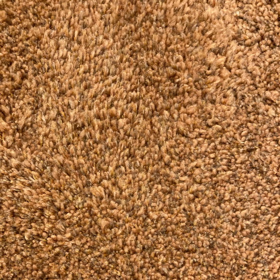 Image 1 of CS Rugs Sauvage rug - 160x220