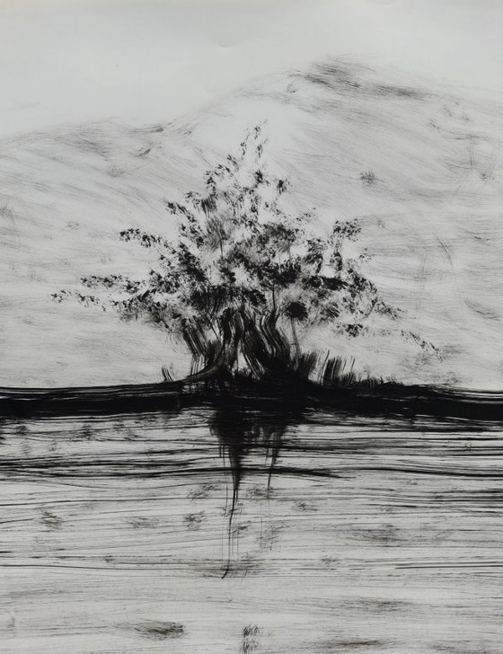Image 1 of GRANADOS LLIMONA, Ink on glossy paper ('98), Size 65 x 45 cm.