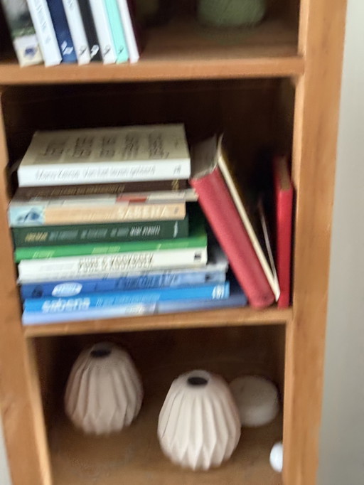 Bookcase in teak