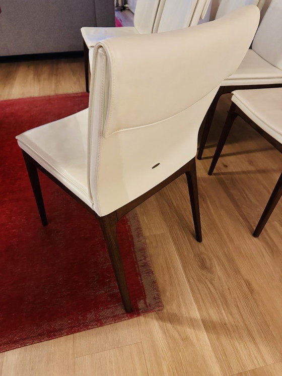 Image 1 of 6x Cattelan Italia Leather Dining Chairs - Arcadia