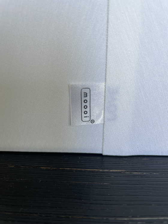 Image 1 of Lámpara colgante ovalada Moooi