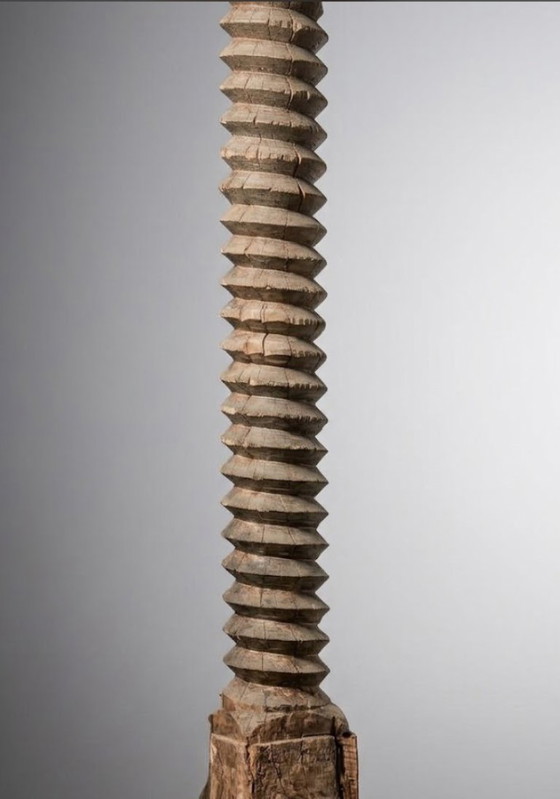 Grande vite da torchio monossile – Colonne, Legno (photo 4 of 5)