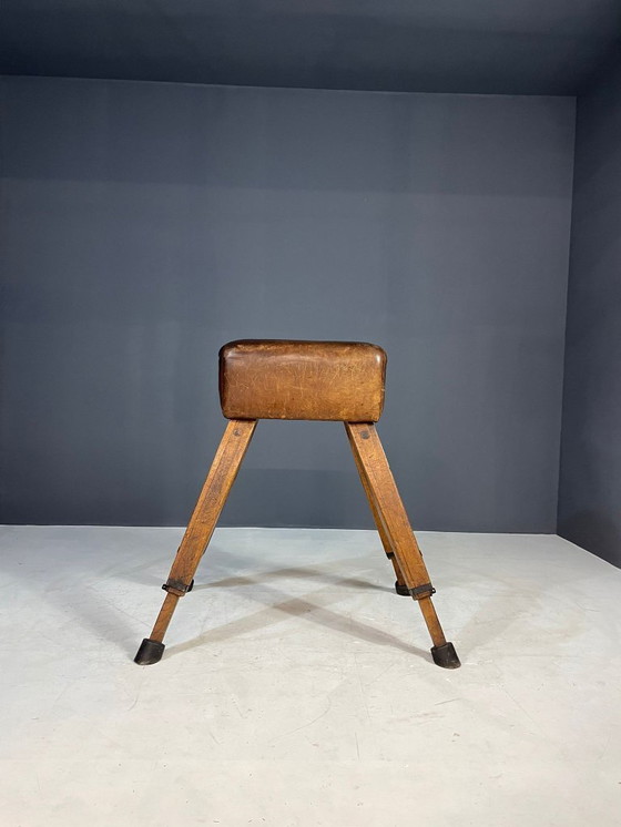 Image 1 of Gymnastik-Voltigierpferd, Tschechoslowakei, 1960er Jahre