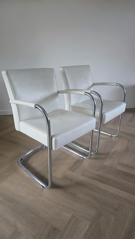 Image 1 of Leolux Esszimmerstühle