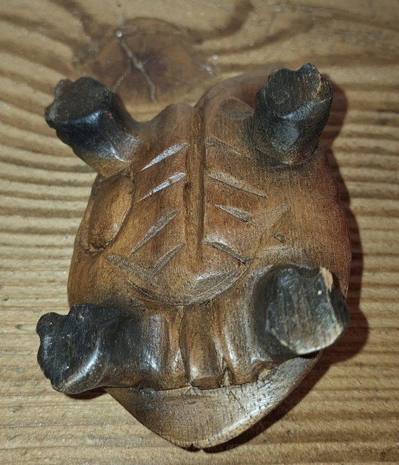 Tartarughe intagliate – Sculture, Legno (photo 5 of 13)