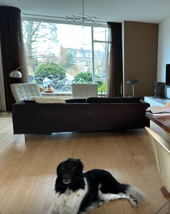 Image 1 of Banque Minotti