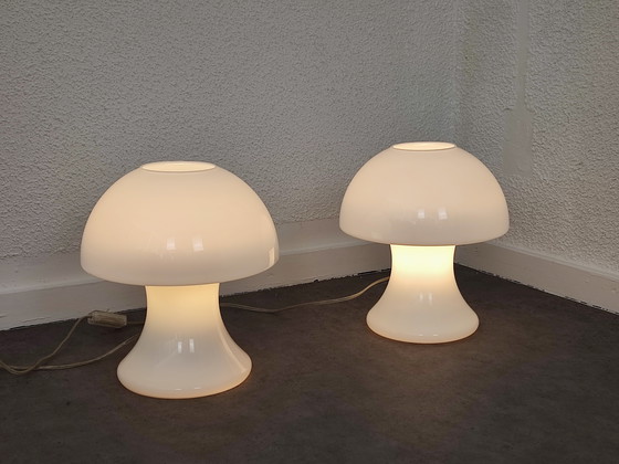 Image 1 of Set 1970S - s.e.c. France - mushrooms 