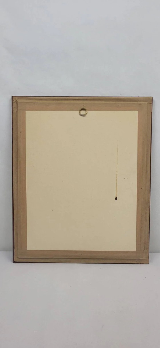 Incisione botanica su lastra Pino marittimo Fournier – Poster, Paper (photo 6 of 7)