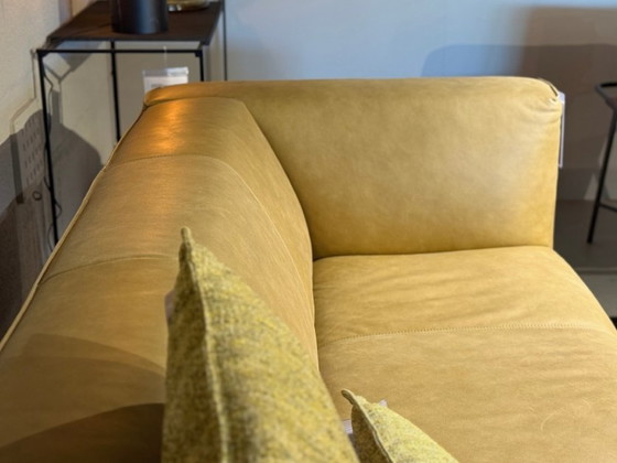 Panca e pouf – Cartel Living, Divani 3 posti, Leather (photo 5 of 7)