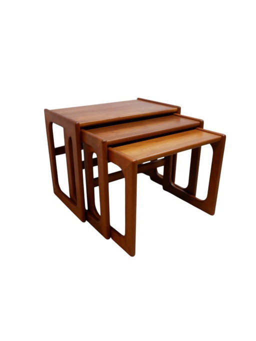 Mimiset danois de Salin Nyborg