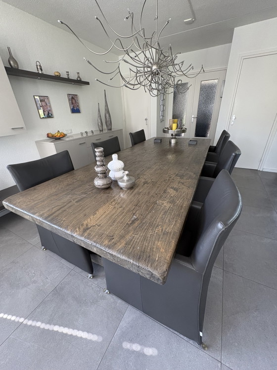 6 sedie da pranzo Jade di Bert Plantagie – Leather, Metal (photo 9 of 10)