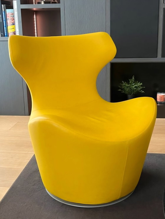 Image 1 of Piccola Papilio fauteuils B&B Italia