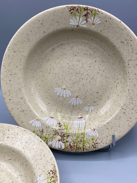 6 Stoneware Deep Plates, Tułowice, Poland, Daisy Pattern – Decorative Objects, Scandinavian (photo 2 of 4)