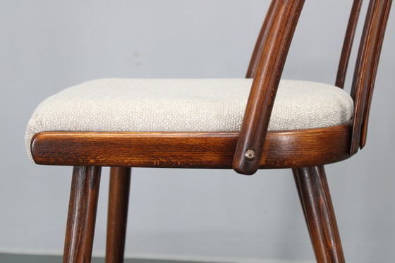 Image 1 of 1960 Antonin Suman Ensemble de six chaises de salle à manger en hêtre, restaurées