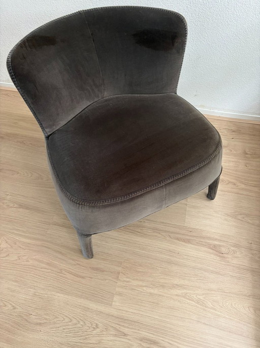Maxalto Febo Armchair – fauteuils, Metal, Velvet