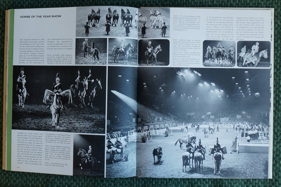 Image 1 of Ein Königreich für ein Pferd