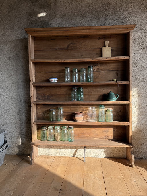 Piattaia primitiva 700