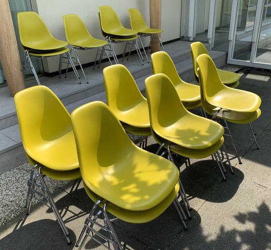 Image 1 of Chaise Vitra - Chaise d'appoint Eames en plastique RE DSS-N - Empilable (20 Disponible)