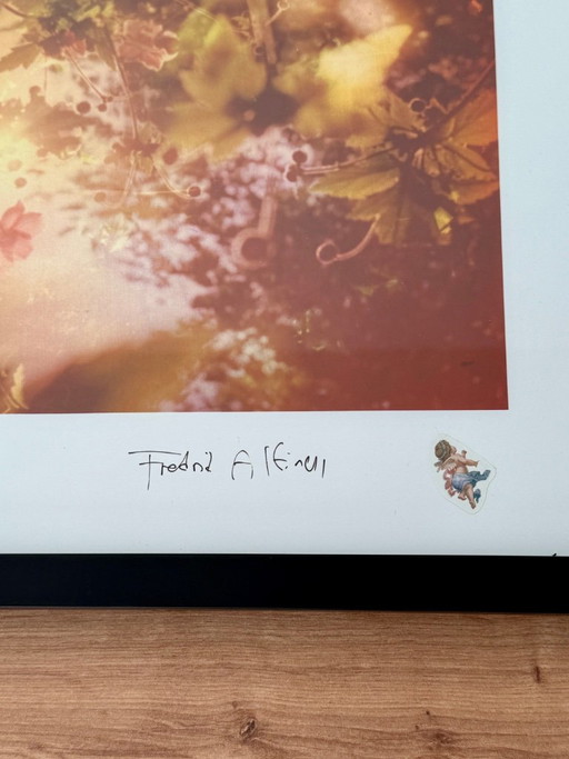 Fotografía artística firmada por Fredrik Altinell (con marco de madera). – fotografie, Paper (photo 2 of 5)