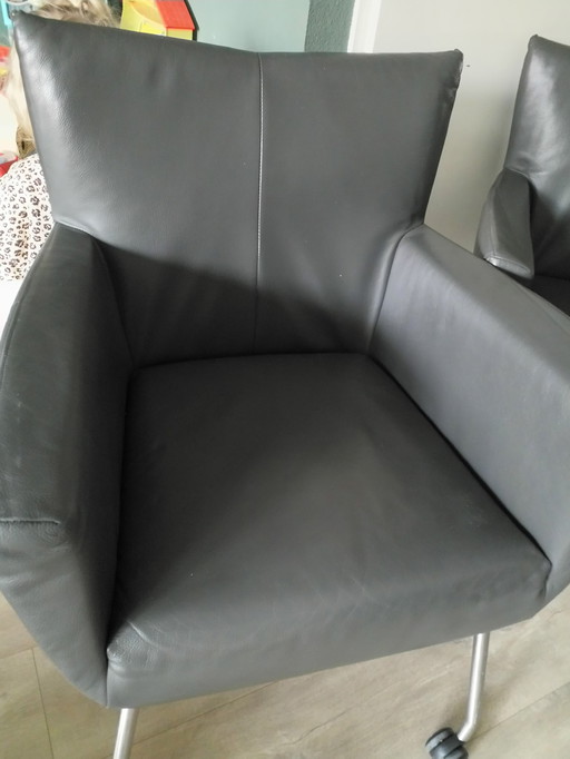 Design on Stock - Moka - 4x