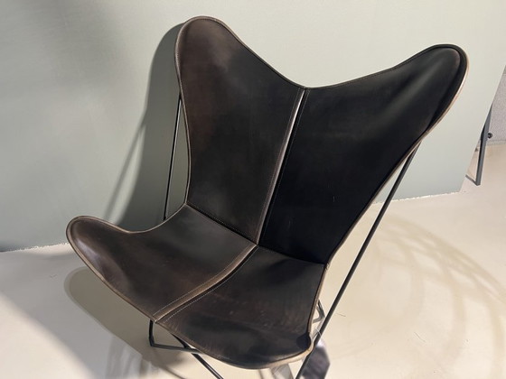 Image 1 of Papillon negro