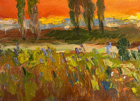 Image 1 of Original Oil Painting Sunset Field Landscape Evening Moment