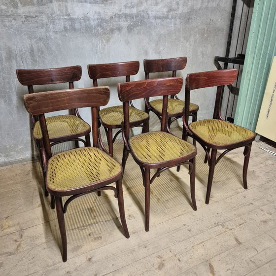 Image 1 of Set van 6 eetkamerstoelen, Thonet-stijl, jaren 60, Tsjecho-Slowakije