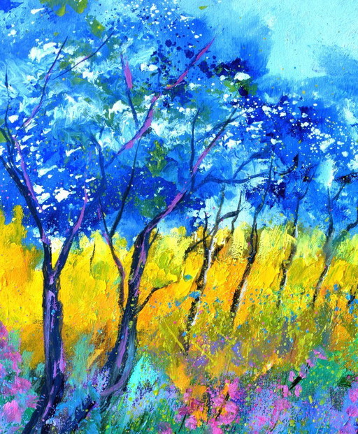 Luce estiva nel bosco